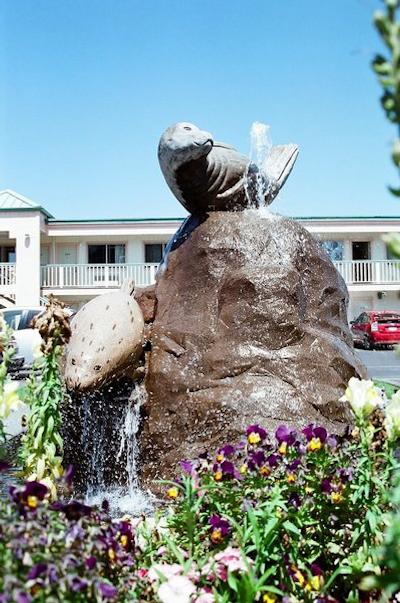 بست وسترن پلاس نردوودز این