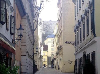 سانز اسوسی وین