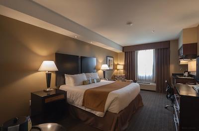 بست وسترن پلاس موس جاو