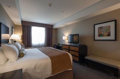 بست وسترن پلاس موس جاو