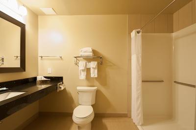 بست وسترن پلاس موس جاو