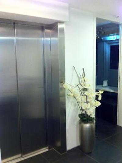 وسیوز وندلپارک