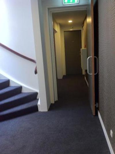 وسیوز وندلپارک