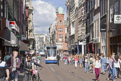 وسیوز وندلپارک