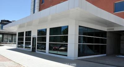 فلورا سوئیتس