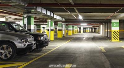 فلورا سوئیتس