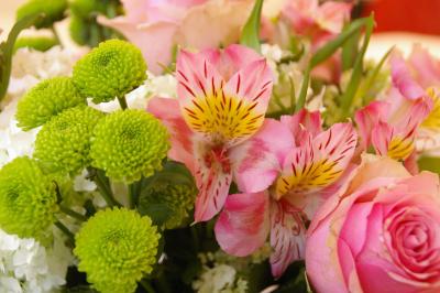 هتل اسپیز اند اسپیز