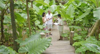 سان آیلند ریزورت اند اسپا