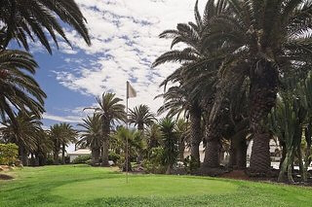 ملی اسالیناز
