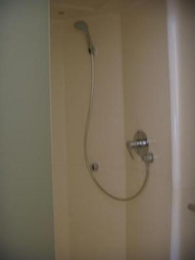 ایبیز بوجت تولوس سیت د لسپاس 2