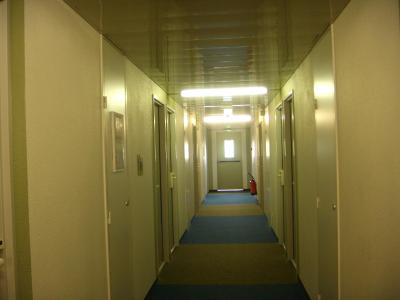 ایبیز بوجت تولوس سیت د لسپاس 2