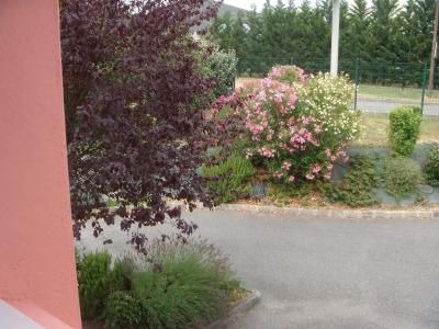 ایبیز بوجت تولوس سیت د لسپاس 2