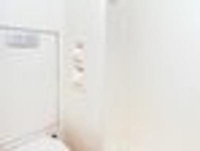 ایبیز بوجت انفیلد