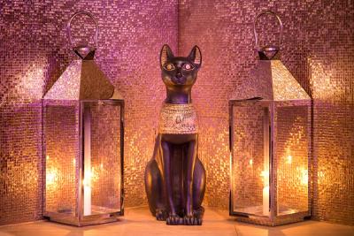 ریال کورت اپارتمنتز