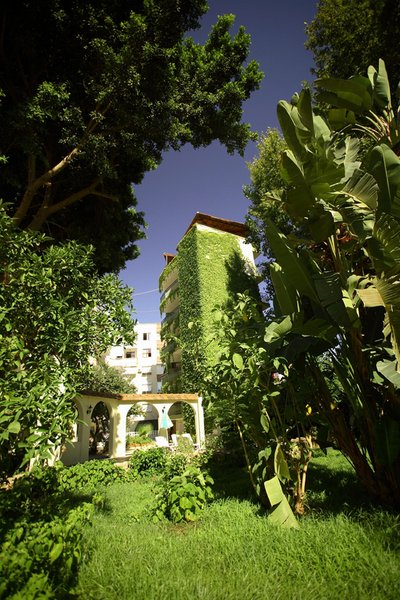 گرین گاردن سیتی