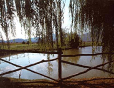 هتل کالامیدرو