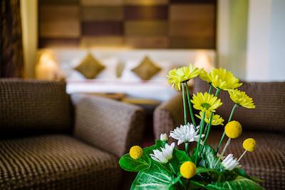 د بما نیربی