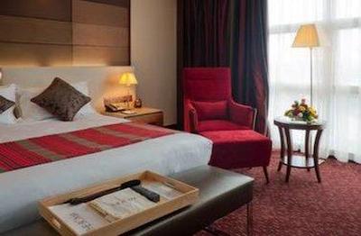 د بما نیربی