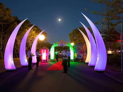 نوتل توین واترز