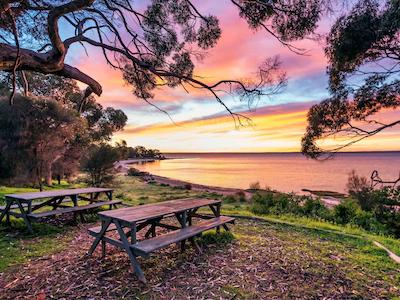 مرکور کانگارو ایسلاند لج