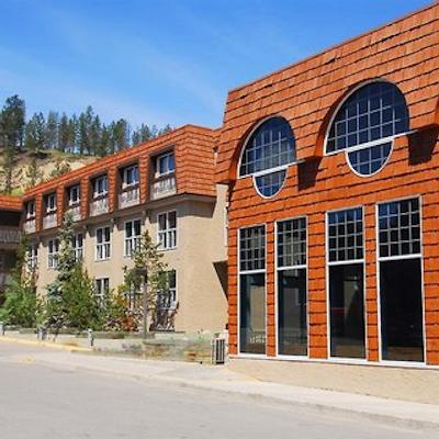 تونکوین این