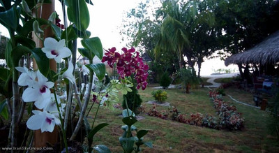 آداران پرستیژ وادو