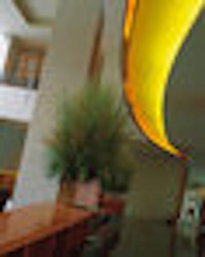 آلیلا جاکارتا