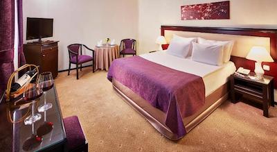 ایرپورت گونش هتل مرتر