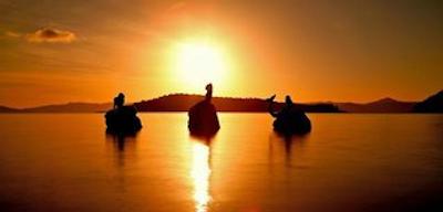 ددریم ایسلاند ریزرت