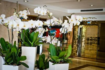 اینترکنتیننتال تاماناکو