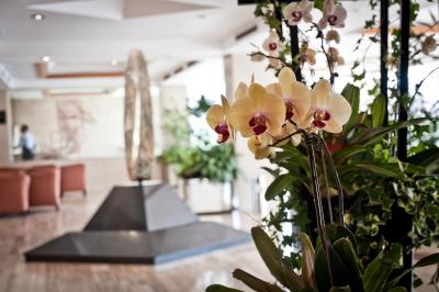 اینترکنتیننتال تاماناکو