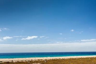 اُکسیدنتال جاندا پلا