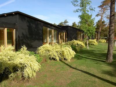 تیلباک هتل سور هتل کالکشن بای بست وسترن