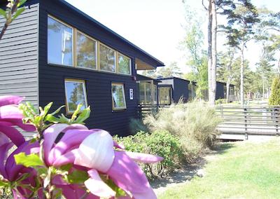 تیلباک هتل سور هتل کالکشن بای بست وسترن