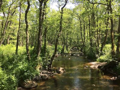 تیلباک هتل سور هتل کالکشن بای بست وسترن