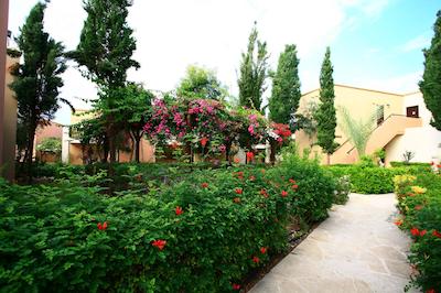 اکتئون هلید ویلیج