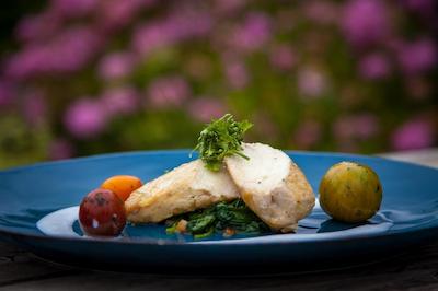 گولدن تولیپ استراندهتل وستدوین