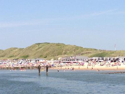 گولدن تولیپ استراندهتل وستدوین