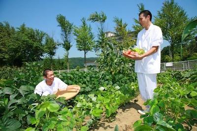 اُشو اکیو اُنسن رانتی