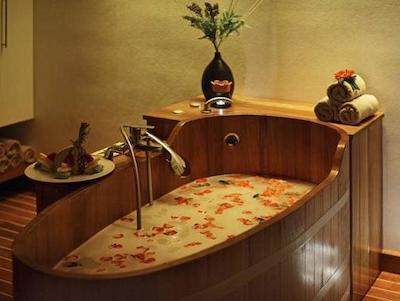 هالیدی این شیشلی