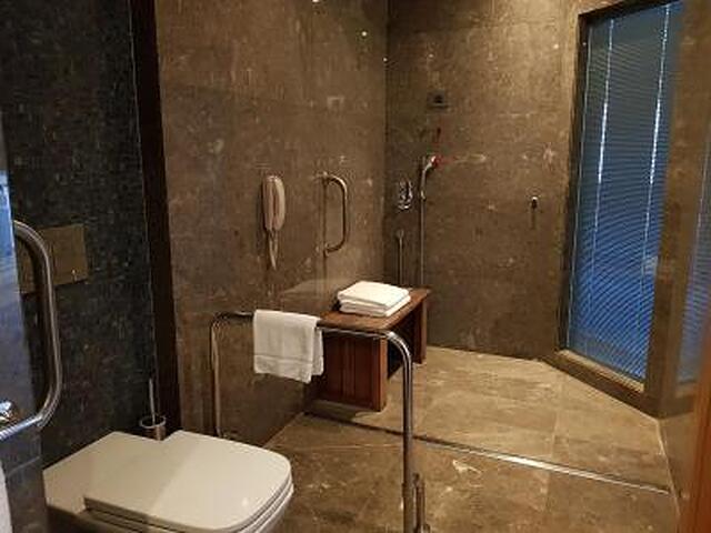 رادیسون بلو هتل اند اسپا استانبول توزلا