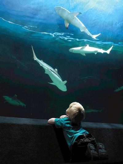 هامپتون این اند سویتز بای هیلتون وانکوور دونتون