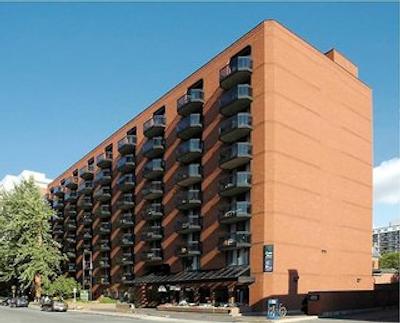 کارتیر پلاس سویت