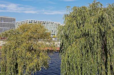 استیجنبرجر هتل ام کانزلرامت