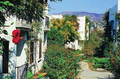 بدروم گاردن هتل