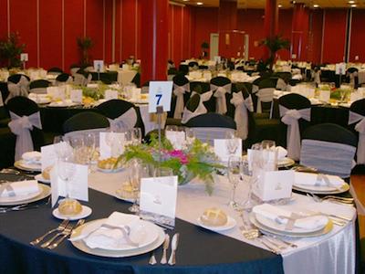 سرکتل هتل پالاشن دل مار