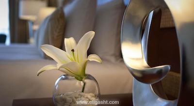 الگانس اچ تی دیزاین سوئیتس