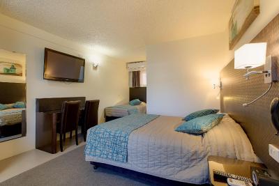 ال پاسُ متر این پرت ماککواری