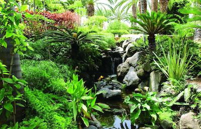 ماریتیم هتل تنریف