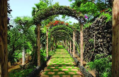 ماریتیم هتل تنریف